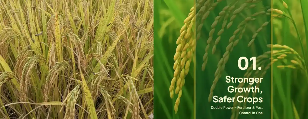 Agriculture Brand Project | Izh Tech